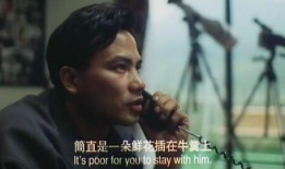 挡不住风情在线观看,一场跨越时空的浪漫邂逅